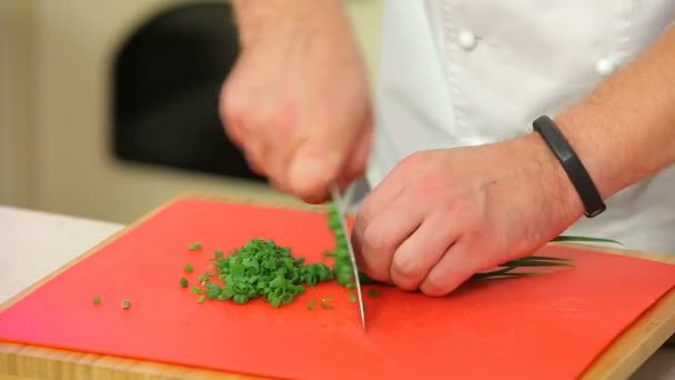 Chopping green onions on a board — Stock Video