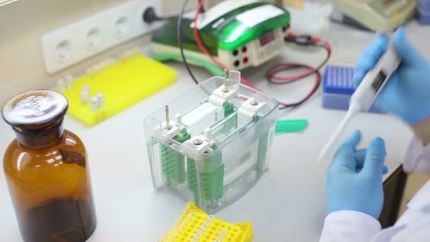 Laboratorium werkplaats voor dna-test — Stockvideo