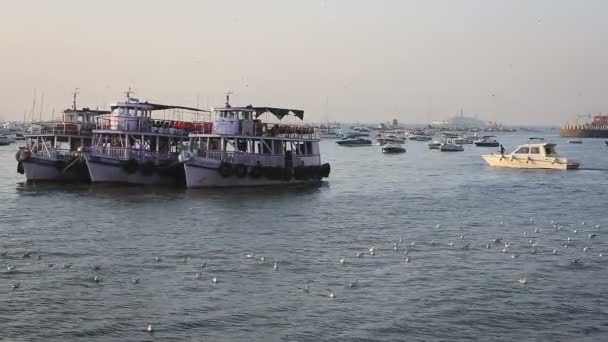 Tourist and fisher boats by the harbour — Stock Video