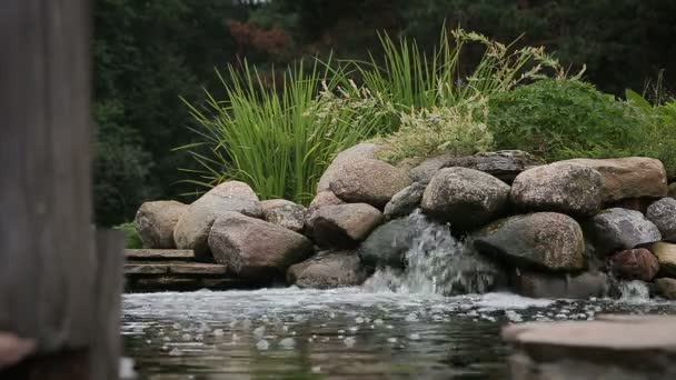 Garden waterfall by the pond — Stock Video