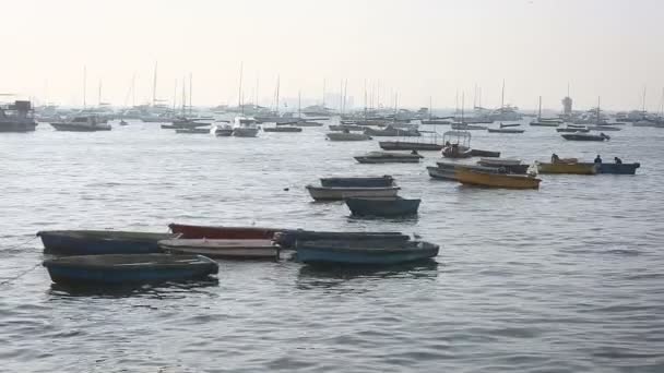 Bateaux de touristes et de pêcheurs près du port — Video