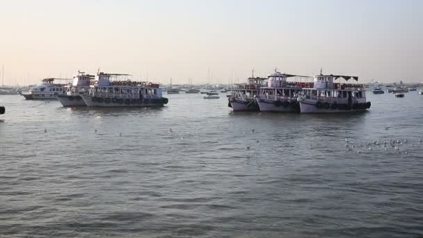 Tourist and fisher boats by the harbour — Stock Video