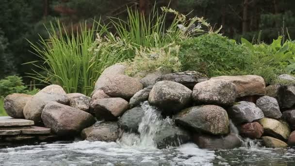 Cachoeira de jardim junto à lagoa — Vídeo de Stock