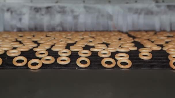 Transportador de bagels — Vídeos de Stock