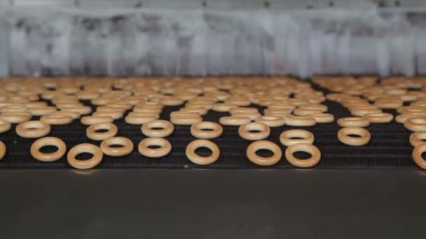 Transportador de bagels — Vídeo de Stock