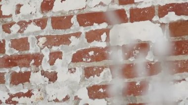 Ayaz şube ve kırmızı tuğla duvar