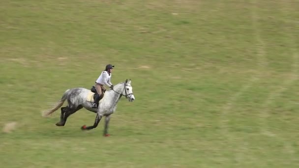 Jockey op paard in galop — Stockvideo