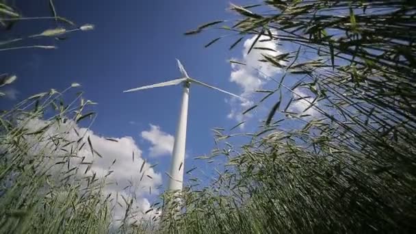 Vindgeneratorturbiner på vetefält — Stockvideo