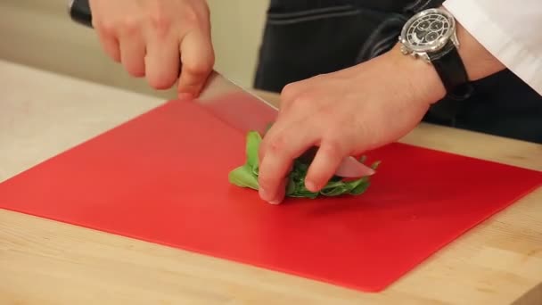 Chef-kok snijden spinazie salade close-up — Stockvideo