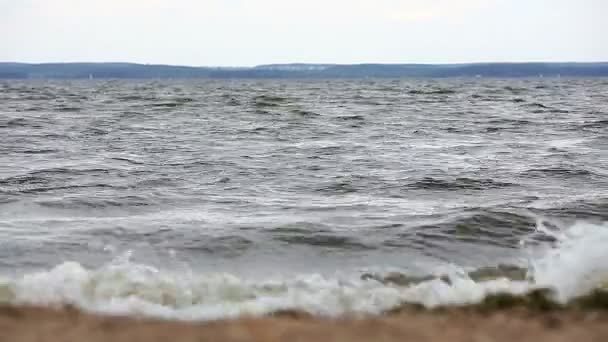 바람이 부는 날에는 해변에서 카이트 서퍼 — 비디오