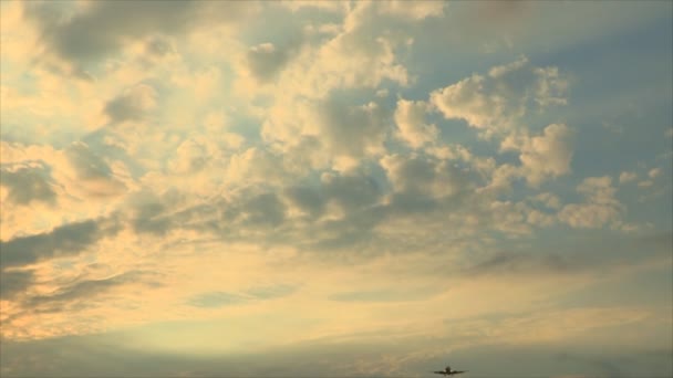 Avion dans le ciel Atterrissage — Video