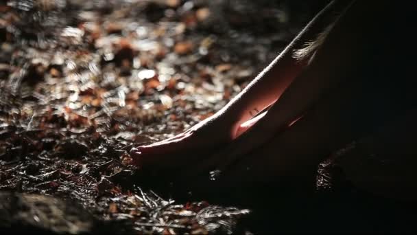 Schöne Mädchen in einem hellrosa Kleid im Schatten eines Baumes im Park an einem sonnigen Sommertag, Beine und Hände Nahaufnahme — Stockvideo