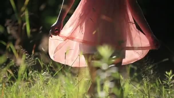 Mädchen in leichtem Sommerkleid geht an sonnigen Tagen im Freien auf dem Feld spazieren — Stockvideo