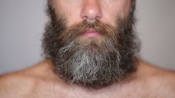 Hombre blanco cuidando de su exuberante barba y bigote — Vídeos de Stock