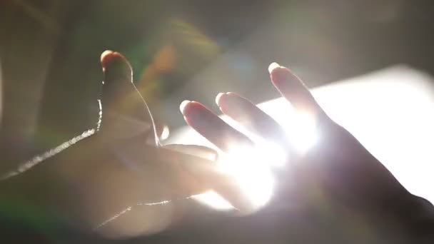 Silhouet van vrouwelijke handen spelen met zonnestralen tijdens zonsopgang — Stockvideo