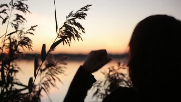 Gros plan d'une jeune jolie brune jouant avec l'herbe regardant le lever du soleil sur le lac — Video