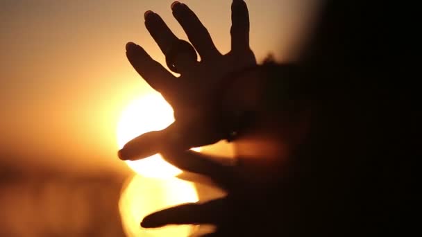 Silhouette delle mani femminili che giocano con i raggi del sole durante l'alba. Effetti di brillamento delle lenti — Video Stock