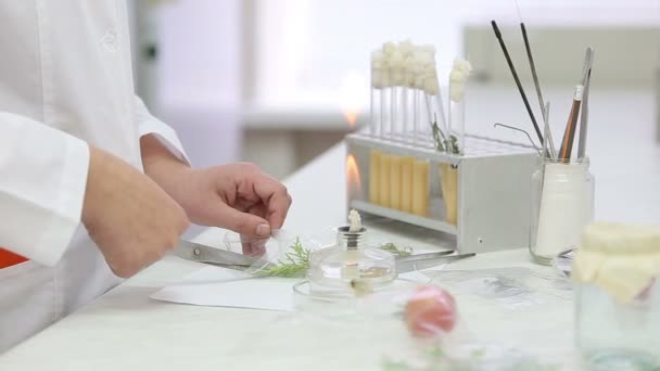 Trabalhos de laboratório microbiológico com tubos de ensaio — Vídeo de Stock