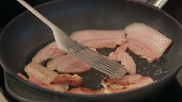 Fette di pancetta frittura — Video Stock