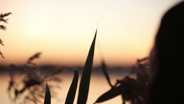 Крупним планом молодих Симпатична брюнетка граючи з трави, спостерігаючи Схід сонця над озером — стокове відео
