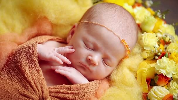 Mignon petit nouveau-né bébé fille dormir dans les fleurs — Video