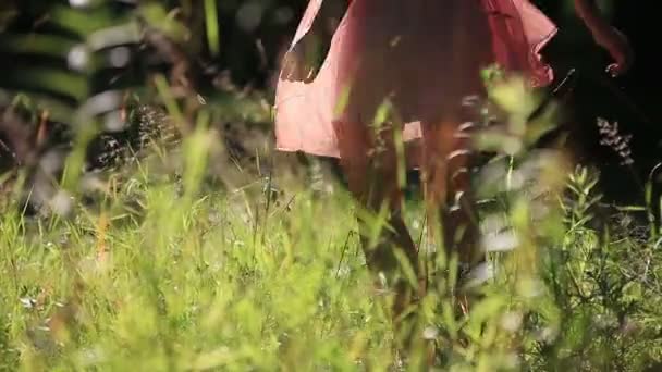 Meisje dragen van lichte zomer jurk wandelen in het veld op zonnige dag buiten — Stockvideo