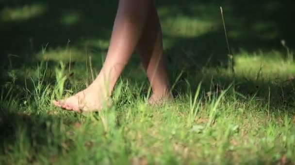 Meisje dragen van lichte zomer jurk wandelen in het veld op zonnige dag buiten — Stockvideo