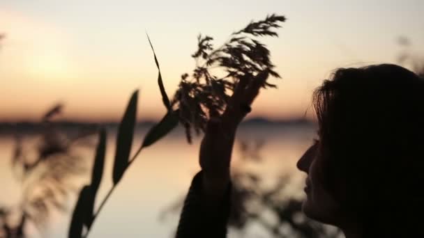 Jeune jolie brune jouant avec herbe regarder lever de soleil sur le lac — Video