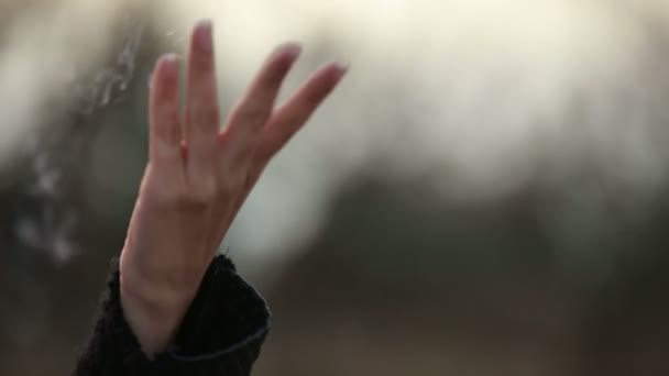Mains féminines touchant les faisceaux lumineux et les sentiers de fumée pendant le lever du soleil brumeux — Video