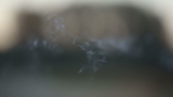 Sentiers de fumée abstraits sur fond extérieur — Video