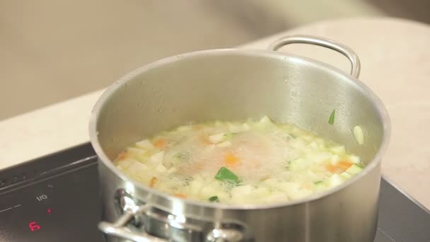 Olla hirviendo de sopa de verduras encima de la estufa — Vídeos de Stock