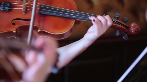 Woman playing the violin — Stock Video