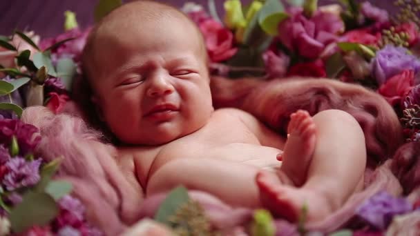 Linda niña recién nacida durmiendo en flores — Vídeos de Stock