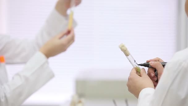 Trabalhos de laboratório microbiológico com tubos de ensaio — Vídeo de Stock