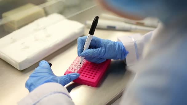 Laboratoire de microbiologie avec tests — Video