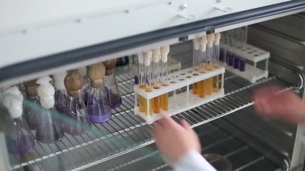 Mikrobiologiska laboratoriet, forska material — Stockvideo