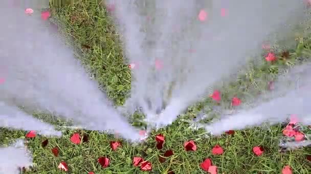 Hart-vormige confetti op groen gras — Stockvideo