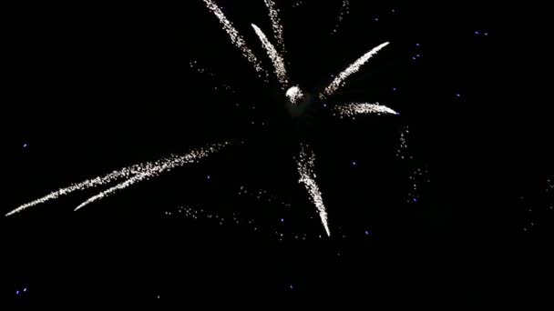 Πυροτεχνήματα στο νυχτερινό ουρανό — Αρχείο Βίντεο