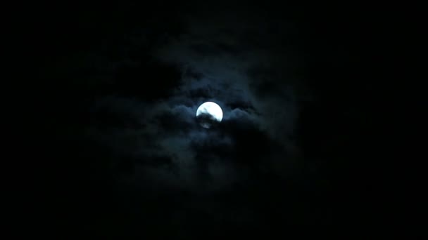 Luna llena en una noche nublada — Vídeos de Stock