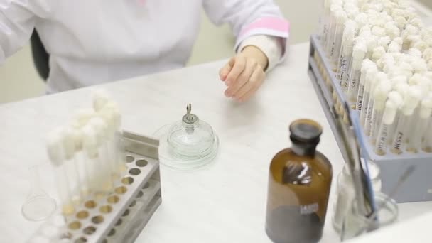 Lavori di laboratorio di microbiologia con provette — Video Stock