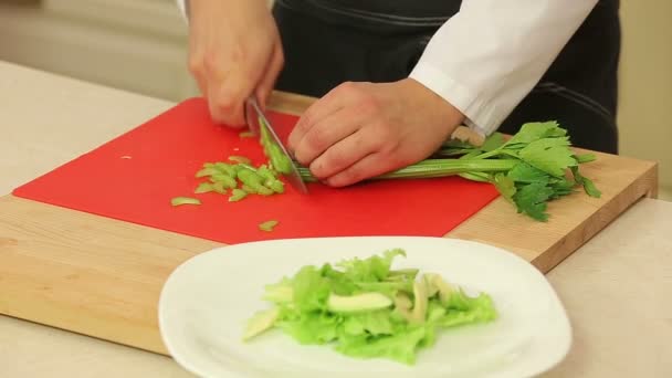 Chef slicing celery for salad — Stock Video