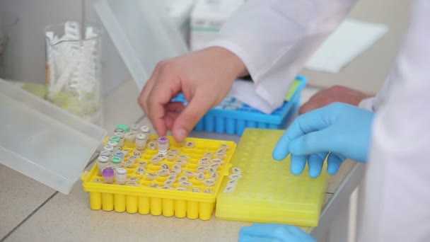 Local de trabalho laboratorial para teste de ADN — Vídeo de Stock