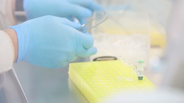 Lieu de travail du laboratoire pour le test ADN — Video