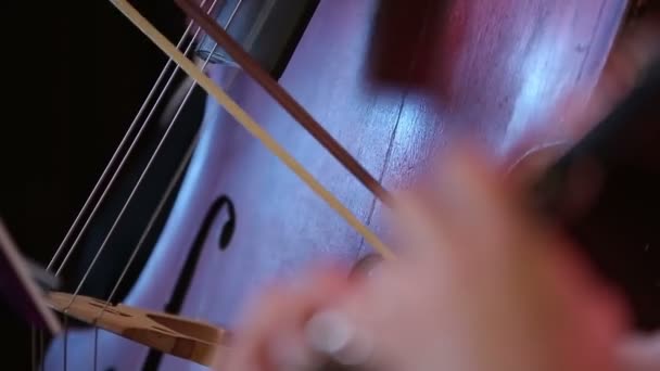 Músicos tocando violoncelo e oboé — Vídeo de Stock