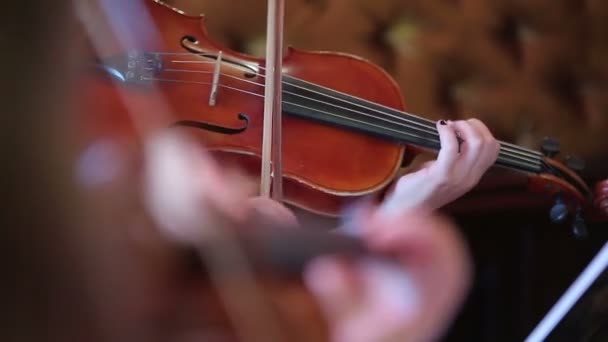 Woman playing the violin — Stock Video