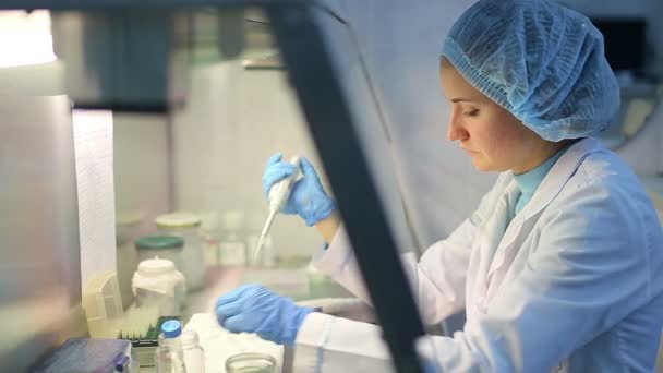 Trabalhos de laboratório microbiológico com testes — Vídeo de Stock