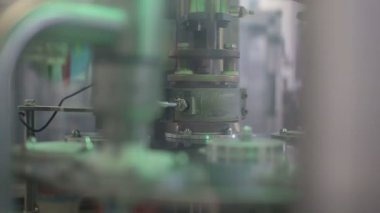 Süt bitki konveyör