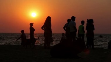 Gün batımında sahilde oturan insanlar