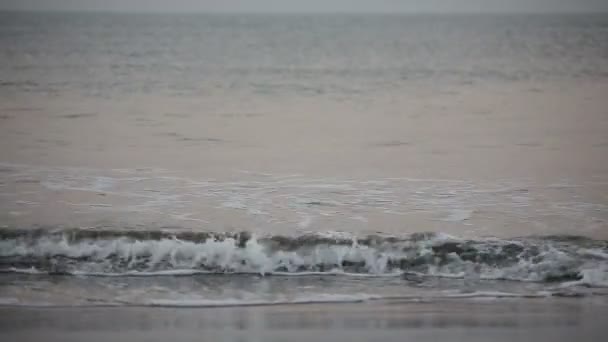 Meereslandschaft am frühen Morgen — Stockvideo