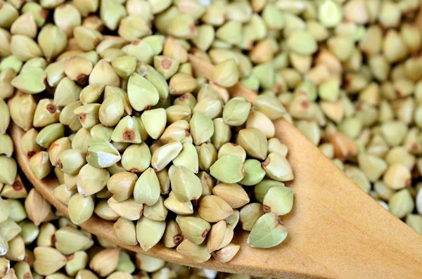 Buckwheat hijau dalam sendok — Stok Foto